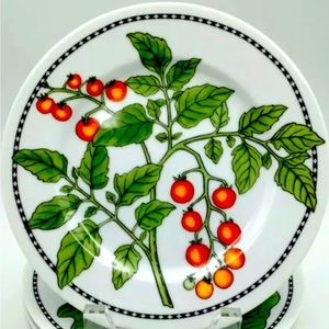 Botanical Vegetable by Williams Sonoma Salad Plates 8” Set of 3